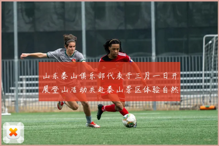 山东泰山俱乐部代表于三月一日开展登山活动共赴泰山景区体验自然之美