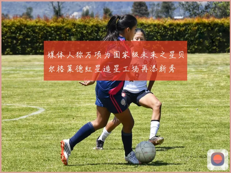 媒体人称万项为国家级未来之星贝尔格莱德红星造星工场再添新秀