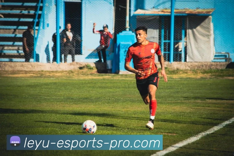 App Interface Preview