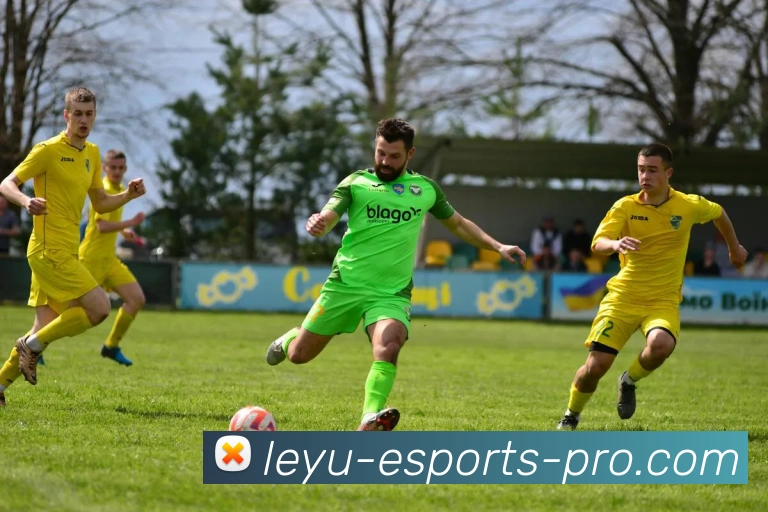 乐鱼体育APP 封面图